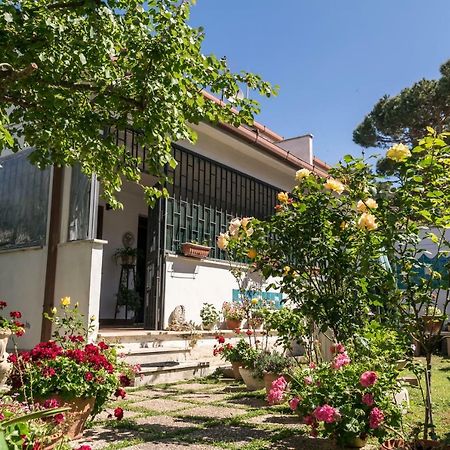 Alloggio Per Uso Turistico Villa Lido dei Pini Exteriör bild