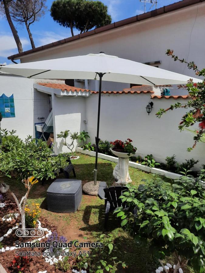 Alloggio Per Uso Turistico Villa Lido dei Pini Exteriör bild