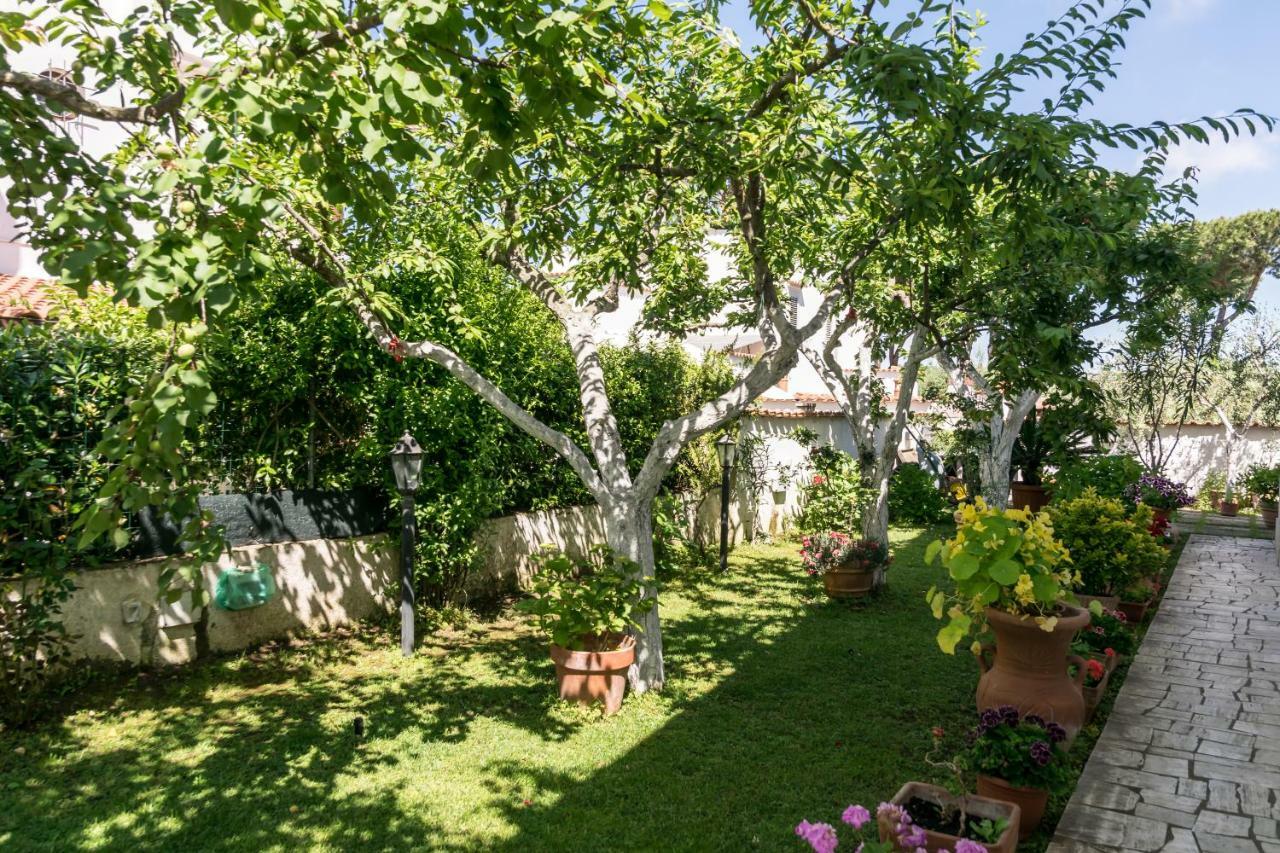 Alloggio Per Uso Turistico Villa Lido dei Pini Exteriör bild